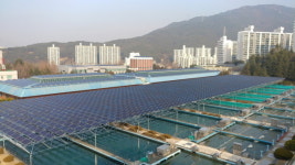 LS산전-부산시, 태양광 발전소 잇달아 준공