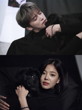 [화보] 김재중·박성웅·홍종현·라미란 등 씨제스 25人, 블랙독 입양 인식 개선 앞장
