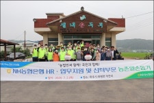 농협은행 HR·업무지원·신탁부문, 자매결연 마을서 농촌일손돕기