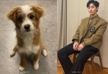윤지성, 유기견 입양 더 멋진 세상 보여주고파…따뜻한 진심