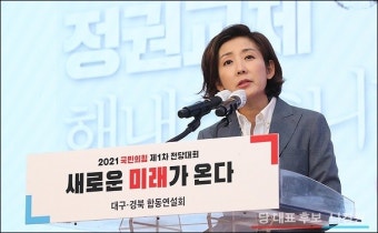 나경원 