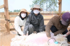 매일유업 상하농원, 동물들 여름나기 시작