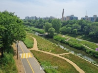 [이야기가 있는 걷기] 양재천~청계산