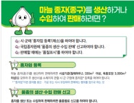 국립종자원 “‘적법한 씨마늘’ 사용해야”