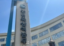 고병원성 AI, 집에서 기르는 고양이 이상 없어