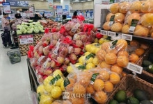 금복감로청과 | 설 다가오는데 여전히 ‘금배’... 부족한 공급 수입과일로 대체?