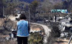 영남 산불 피해 신고접수 9802건...경북 96%·경남4%