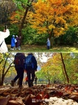 [포토뉴스] 반세기 만에 숲이 열렸다... 서울대 안양수목원