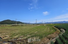 정부, 가짜 농지 찾아낸다…농지 전수조사 및 투기 농지 색출