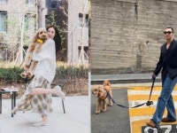 변요한티파니, 혼인신고 끝 달달한 신혼 일상 [MP그램]