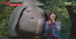 [옥자], 29일 개봉 앞두고 관심 집중