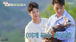 정동원, 장민호와 태백서 산양 목장 여행 흥 폭발