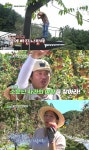 자급자족원정대, 충주서 소문난 사과의 여왕 찾다 홀린 사연은?