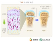 [청소년 키 크는 방법 ①] 키 언제까지 클까? 키 성장 결정 요인