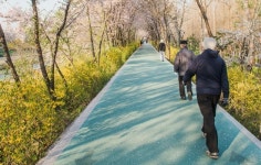 척추 건강 지키는 ‘올바른 걷기 방법과 자세’