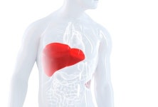 우리에게 중요한 간 건강 지키는 생활 수칙 6