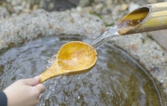 몸에 좋은 약수, 식중독 걱정 없이 마시려면?
