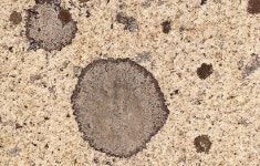 [1분 Q&A] 색소침착 없애는 법이 궁금합니다