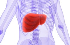 소리 없이 찾아오는 ‘간암’ 초기증상과 고위험군은?