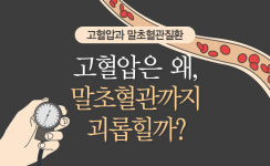 고혈압은 왜, 말초혈관까지 괴롭힐까?