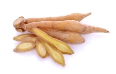 핑거루트 다이어트, 핵심 성분은 “판두라틴”