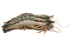 맛있는 대하, 건강에도 좋을까?