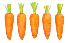 [1분 Q&A] 달곰한 당근, 당뇨병 환자에게 좋을까? 나쁠까?