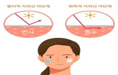 무기자차 vs 유기자차...내 피부에 꼭 맞는 선크림 선택법