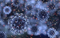 코로나19 팩트체크 #91 경증 코로나19도 지속적인 항체 보호 유도