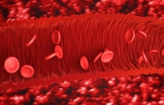 [인터뷰] 순환기내과 이원재 교수, 합병증 예방의 핵심, 콜레스테롤 낮추는 방법