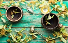 물 대신 마실 수 있는 차 vs 물 대신 마실 수 없는 차