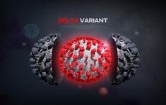 델타 변이보다 전염력이 강하다?...신종 델타플러스 변이 증가로 전 세계 긴장