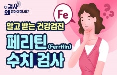 몸속 철분, 부족하진 않을까? 페리틴 검사 [알고 받는 건강검진]