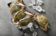 늦은 장마로 인한 8년 만의 ‘꽃게 대풍년’...꽃게의 효능은?