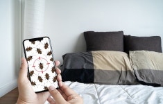 모텔 침대에 벌레 ‘득실’…빈대·진드기에 물렸을 때 나타나는 증상은?