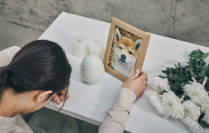 반려가족 50%가 겪는 ‘펫로스 증후군’…극복하려면?