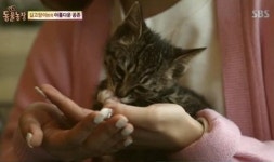 TV를 오독하는 사람들이 만드는 잔인한 후폭풍