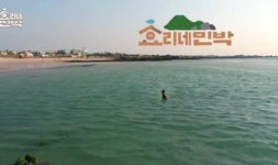 ‘효리네’, 이효리가 왜 바다에 들어갔는지 이제 알겠다