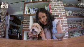 ‘효리네’, 이효리가 왜 바다에 들어갔는지 이제 알겠다