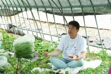 맛남의 광장 백종원, 통영 고구마 순 하우스 방문! 비상금까지 털어 FLEX 한 이유는?!