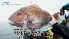 욕 나오는 것마저 자연스러운 도시어부3만의 아찔한 비결
