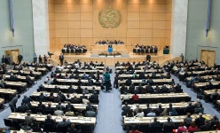 뇌전증협회 WHO 결의안 채택 환영...뇌전증지원법 조속히 통과돼야