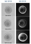 편광 현미경, 건강한 난자 선별과 미세수정에 도움 줄 수 있어