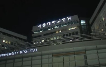 서울의대 교수들 