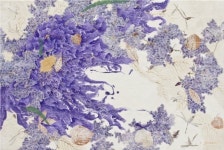 스페이스 이노, 안진의 ‘꽃의 시간’展