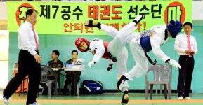 보아라! 무적의 특전사 태권도