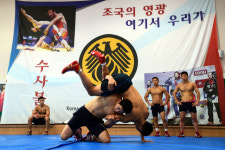 불사조 기상으로 효자 종목 대 잇는다