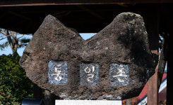 ［DMZ 동서횡단, 냉전을 넘어 희망을 보다］경기 파주 통일촌