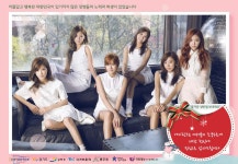 2015 병영문화혁신 캠페인 - 에이핑크 편