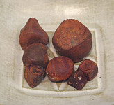 “말 좋아하고 잘 기르는 사람이 목마 행정 맡아야”